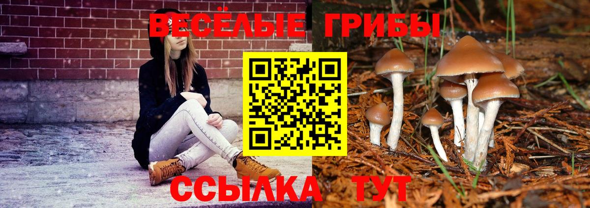Сочи  Псилоцибиновые грибы мухоморы  Вход с VPN  Псилоцибиновые грибы GOLDEN TEACHER 