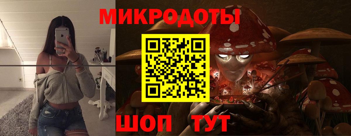 Псилоцибиновые грибы мицелий Сочи