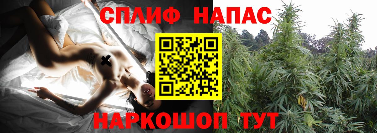 Марихуана семена  Бошки Шишки семена  Вход с VPN  Сочи 